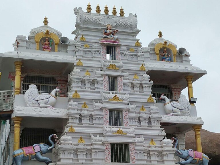 Sri Vidya Saraswati Temple temple3
