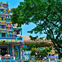 Home sri vidhya temple
